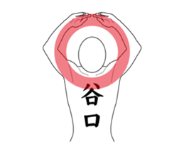 116305092