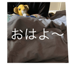 116306640
