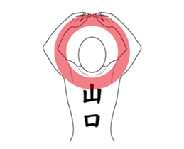 116311564