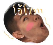 116355545