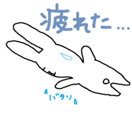 1163818