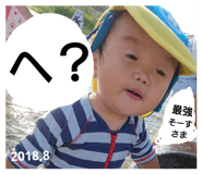 116433817