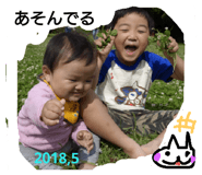 116433845