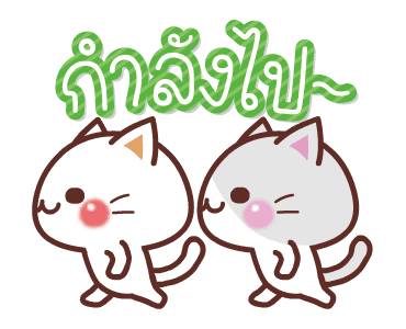 ลายที่ 11