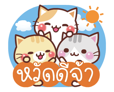 ลายที่ 13