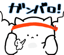 11645542