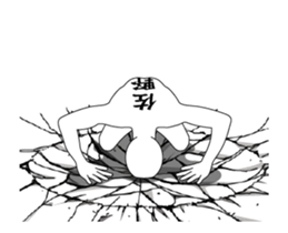 116511240