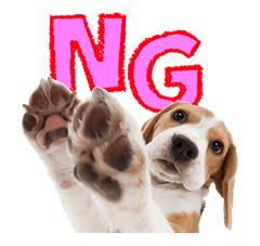 THE DOG รูปที่ 2