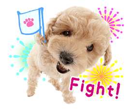 THE DOG รูปที่ 22