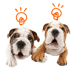 THE DOG รูปที่ 25
