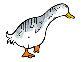 Ducky and Friends รูปที่ 5