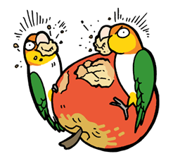 Ducky and Friends รูปที่ 8
