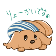 1167196