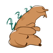 1167208