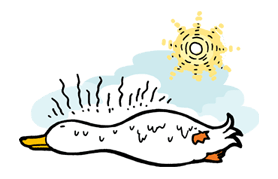 Ducky and Friends รูปที่ 14