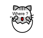 11679196