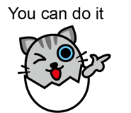11679209
