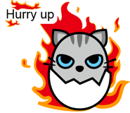 11679216