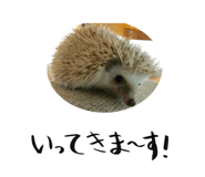 116793038