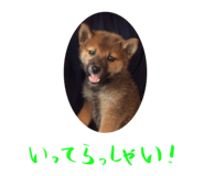 116793040