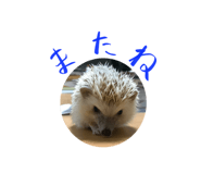 116793042