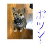 116793048