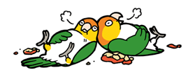 Ducky and Friends รูปที่ 19
