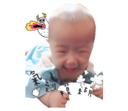 116813134
