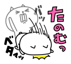 11683773