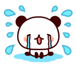 11684198