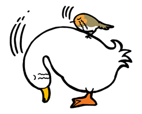 Ducky and Friends รูปที่ 36