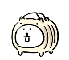 11703816