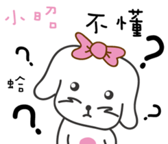 117087176