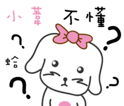 117089584