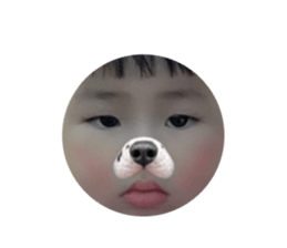 117445792