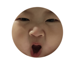 117445795