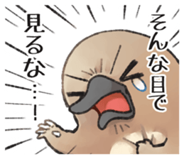 117516080