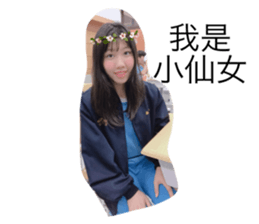 117516541