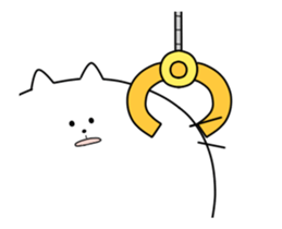 11754252