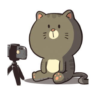 Mr. Boogy Tamborimen รูปที่ 1