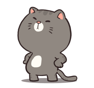Mr. Boogy Tamborimen รูปที่ 5