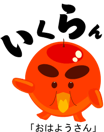 11767630