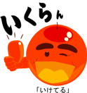 11767633