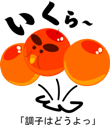 11767647