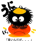 11767668