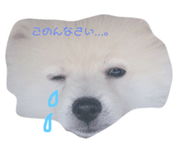 117762318