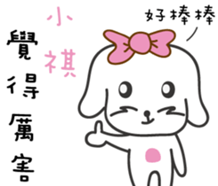 117770597