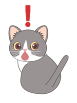 11780382