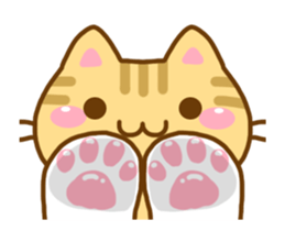 11806240