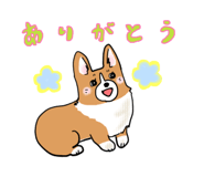 11808462